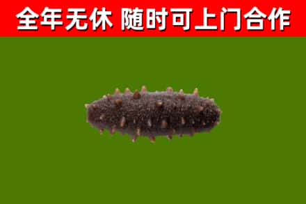 郧西烟酒回收干海参.jpg